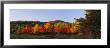 Trees In The Forest, Adirondack Mountains, Essex County, New York State, Usa by Panoramic Images Limited Edition Print