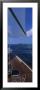Sailboat Racing In The Sea, Grenada by Panoramic Images Limited Edition Pricing Art Print