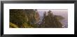 Trees On Rocks, Pacific Ocean, Boardman State Park, Oregon, Usa by Panoramic Images Limited Edition Print