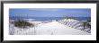 Fence On The Beach, Gulf Of Mexico, St. Joseph Peninsula State Park, Florida, Usa by Panoramic Images Limited Edition Pricing Art Print