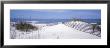 Fence On The Beach, Gulf Of Mexico, St. Joseph Peninsula State Park, Florida, Usa by Panoramic Images Limited Edition Print