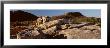 A Young Woman Sitting, Champlain Mountain, Acadia National Park, Mount Desert Island, Maine, Usa by Panoramic Images Limited Edition Print