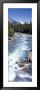 Yoho River, British Columbia, Canada by Panoramic Images Limited Edition Print