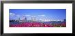 Panoramic View Of The Waterfront And Skyline, West Palm Beach, Florida, Usa by Panoramic Images Limited Edition Print