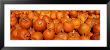 Close-Up Of Pumpkins by Panoramic Images Limited Edition Pricing Art Print