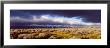 Clouds, Mojave Desert, California, Usa by Panoramic Images Limited Edition Pricing Art Print