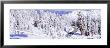 Lassen Volcanic National Park, California, Usa by Panoramic Images Limited Edition Pricing Art Print