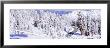 Lassen Volcanic National Park, California, Usa by Panoramic Images Limited Edition Print