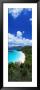 Trunk Bay, Saint John, Us Virgin Islands, Usa by Panoramic Images Limited Edition Print