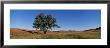 Wind Cave National Park, South Dakota, Usa by Panoramic Images Limited Edition Pricing Art Print