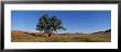 Wind Cave National Park, South Dakota, Usa by Panoramic Images Limited Edition Print