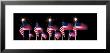 Us Flags And Fireworks by Panoramic Images Limited Edition Pricing Art Print