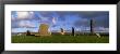 Sheep, Stones Of Stenness, Orkney Islands, Scotland, United Kingdom by Panoramic Images Limited Edition Print