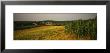 Farm Fields, Fredrick, Virginia, Usa by Panoramic Images Limited Edition Print