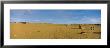 Nambung National Park, Near Perth, Australia by Panoramic Images Limited Edition Print