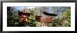 Japanese Tea Garden, Golden Gate Park, San Francisco California, Usa by Panoramic Images Limited Edition Pricing Art Print