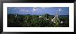 High Angle View Of An Old Temple, Tikal, Guatemala by Panoramic Images Limited Edition Print