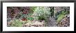 Garden, Old Town, Tossa De Mar, Costa Brava, Spain by Panoramic Images Limited Edition Print