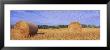 Straw Rolls, Sweden by Panoramic Images Limited Edition Pricing Art Print