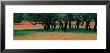 Indian Paintbrushes And Scattered Oaks, Texas Hill Co, Texas, Usa by Panoramic Images Limited Edition Pricing Art Print