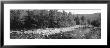 Swift River Flowing Through The White Mountain National Forest, New Hampshire, Usa by Panoramic Images Limited Edition Pricing Art Print