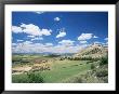 View To Castle On Hill Above Fields, Jadraque, Guadalajara, Castilla-La Mancha, Spain by Ruth Tomlinson Limited Edition Print