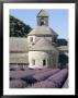 Abbaye De Senanque, Vaucluse, Provence, France by Bruno Morandi Limited Edition Print