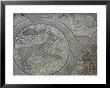Mosaics In The Unesco Site Thermae, Butrint, Albania by Michele Molinari Limited Edition Print