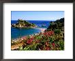 Populated Island Coastline, Isole Bella, Sicily, Italy by John Elk Iii Limited Edition Print