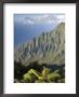 Kalalau Valley Overlooking Kokee State Park, Kokee State Park by John Elk Iii Limited Edition Pricing Art Print