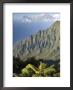 Kalalau Valley Overlooking Kokee State Park, Kokee State Park by John Elk Iii Limited Edition Print