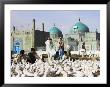 People Feeding Famous White Pigeons At Shrine Of Hazrat Ali, Mazar-I-Sharif, Afghanistan by Jane Sweeney Limited Edition Print