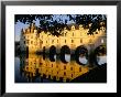 Chateau Of Chenonceau, Indre Et Loire, Loire Valley, France by Bruno Morandi Limited Edition Print