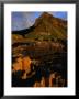 Rock Formations At Dusk, Giants Causeway, United Kingdom by Cheryl Conlon Limited Edition Print