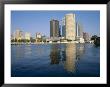City Skyline, Tampa, Gulf Coast, Florida, Usa by J Lightfoot Limited Edition Print