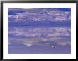 Bus Driving Through The Ethereal Landscape Of The Salar De Uyuni, Salar De Uyuni Salt Lake, Bolivia by Marco Simoni Limited Edition Print