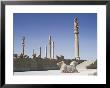 The Apadana (King's Audience Hall), Persepolis, Unesco World Heritage Site, Iran, Middle East by Jennifer Fry Limited Edition Print