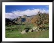 Langdale Pikes From Great Langdale, Lake District National Park, Cumbria, England by Roy Rainford Limited Edition Print