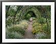 Gardens, Crathes Castle, Grampian, Scotland, United Kingdom by Kathy Collins Limited Edition Print