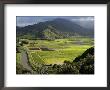 Hanalei Valley With Taro Fields Below, Kauai, Hawaii by John Elk Iii Limited Edition Print