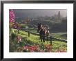 Constantia Winery, Cape Town, South Africa by Stuart Westmoreland Limited Edition Pricing Art Print