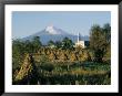 The Volcano Of Popocatepetl, Puebla State, Mexico, North America by Robert Cundy Limited Edition Print