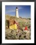 Great Point Lighthouse, Nantucket, Ma by Kindra Clineff Limited Edition Print
