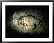 View Of A Bison Painted At Lascaux Approximately 17,000 Years Ago by Sisse Brimberg Limited Edition Print