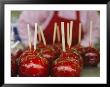 A Tray Of Candy Apples Speak Of Summer Fun by Heather Perry Limited Edition Print