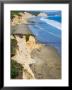 Drakes Beach, Point Reyes National Seashore, California, Usa by Julie Eggers Limited Edition Print