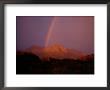 Rainbow Over Zion National Park by Sam Abell Limited Edition Pricing Art Print