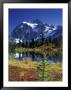 Picture Lake And Mount Shuksan At Heather Meadows, Washington, Usa by Jamie & Judy Wild Limited Edition Pricing Art Print