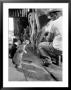 Cats Blackie And Brownie Catching Squirts Of Milk During Milking At Arch Badertscher's Dairy Farm by Nat Farbman Limited Edition Print