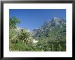 Mountain Landscape, Biniaraix, Near Soller, Majorca (Mallorca), Balearic Islands, Spain by Ruth Tomlinson Limited Edition Print